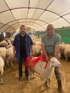 Akika kurban satışı 2026 güncel fiyatlar ve hijyenik kesim. İstanbul’da aynı gün teslimat ve İslami usullere uygun hizmet imkanı.